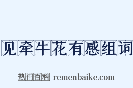 见牵牛花有感组词是什么意思的图片